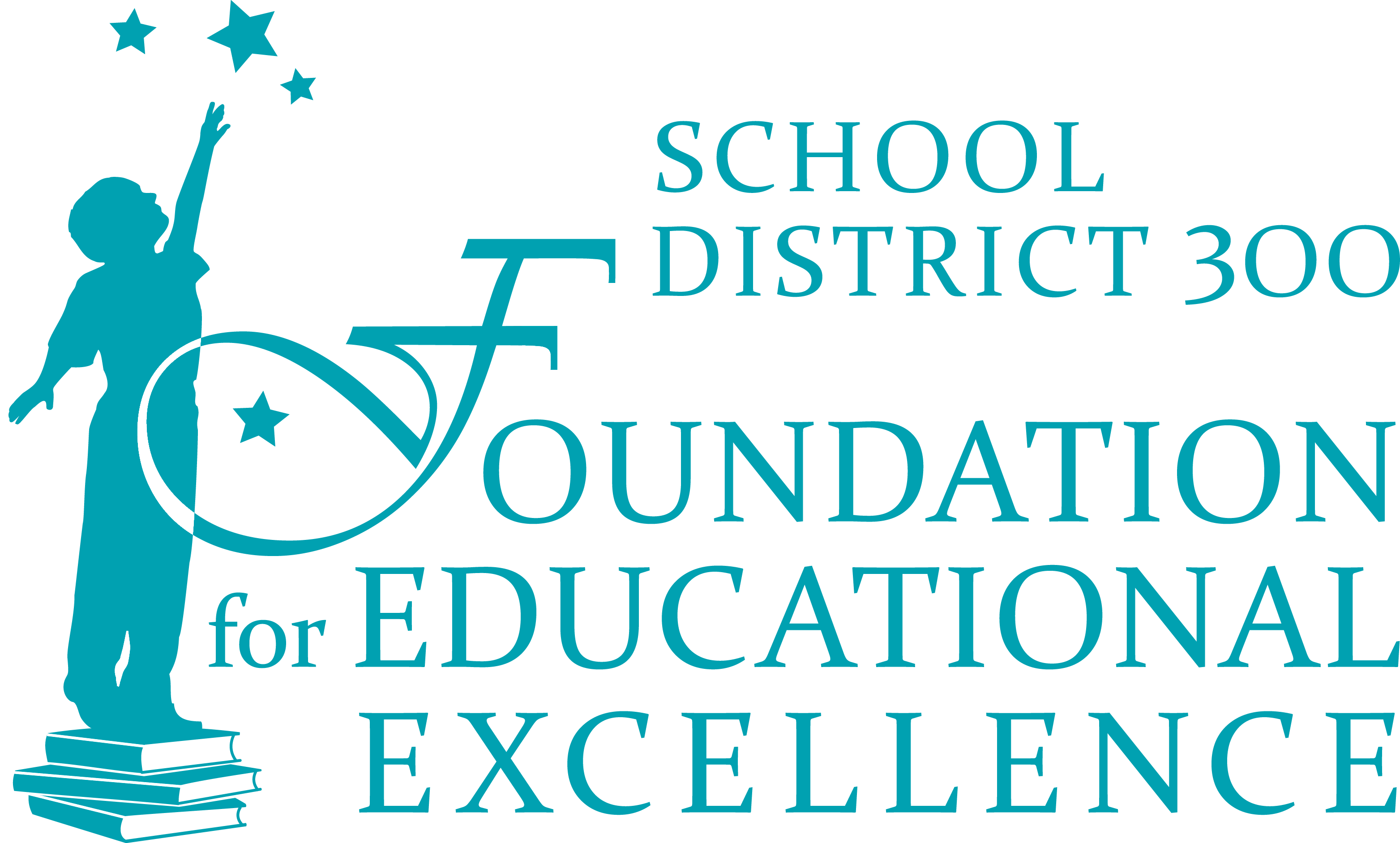 D300 Foundation for Educational Excellence